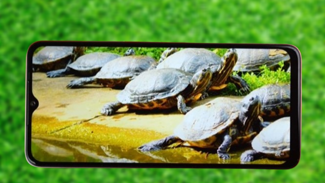 Available at just ₹5,999, this Itel A70 smartphone is simply irresistible once you catch a glimpse of its features.